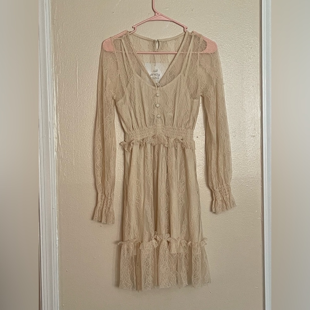 Soft lacy dress with sheer sleeves. Brand new!